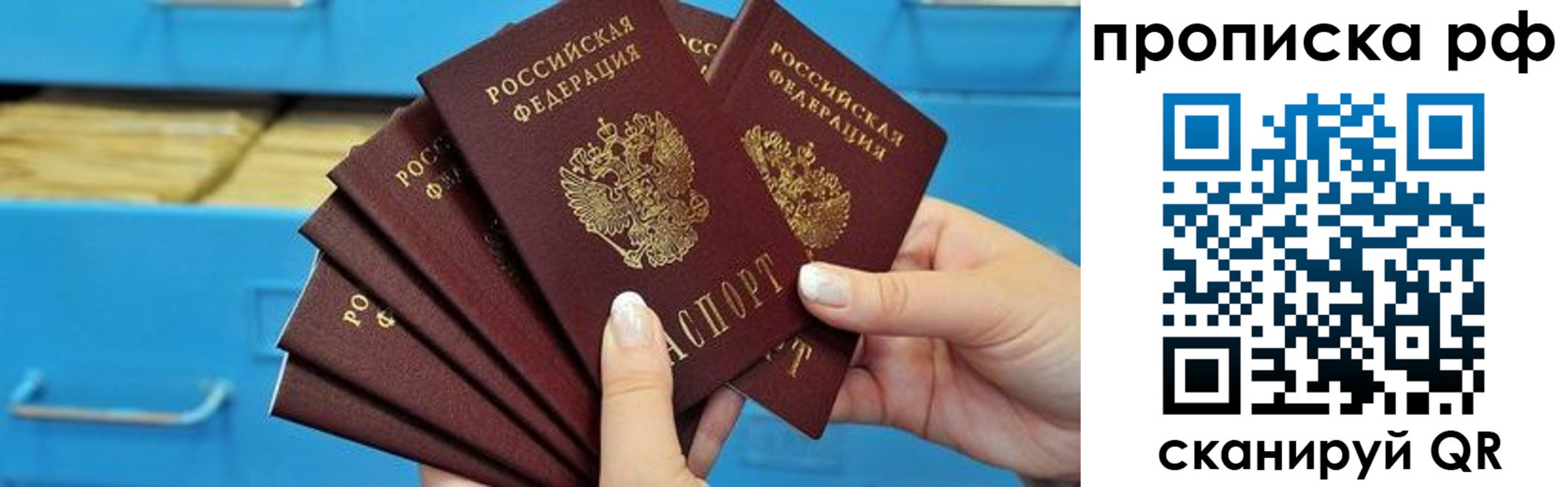 прописка поиск в Алексине